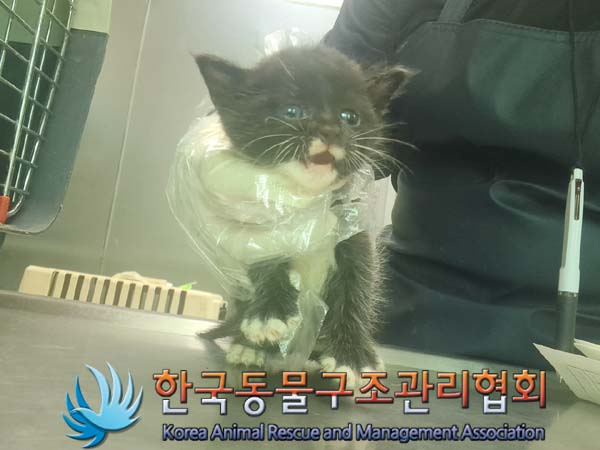 한국동물구조관리협회_441560202401125
